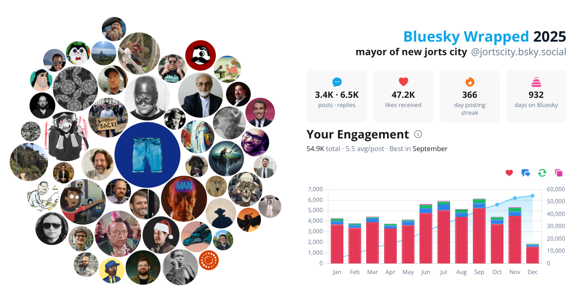 Your Bluesky Wrapped 2025 preview
