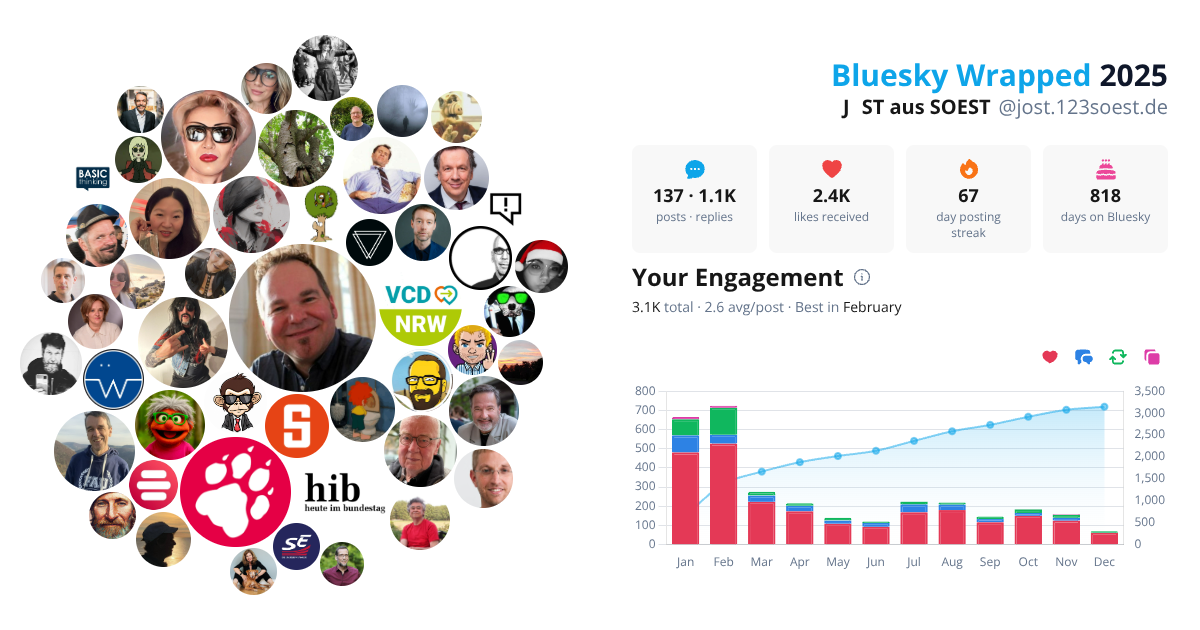 Your Bluesky Wrapped 2025 preview