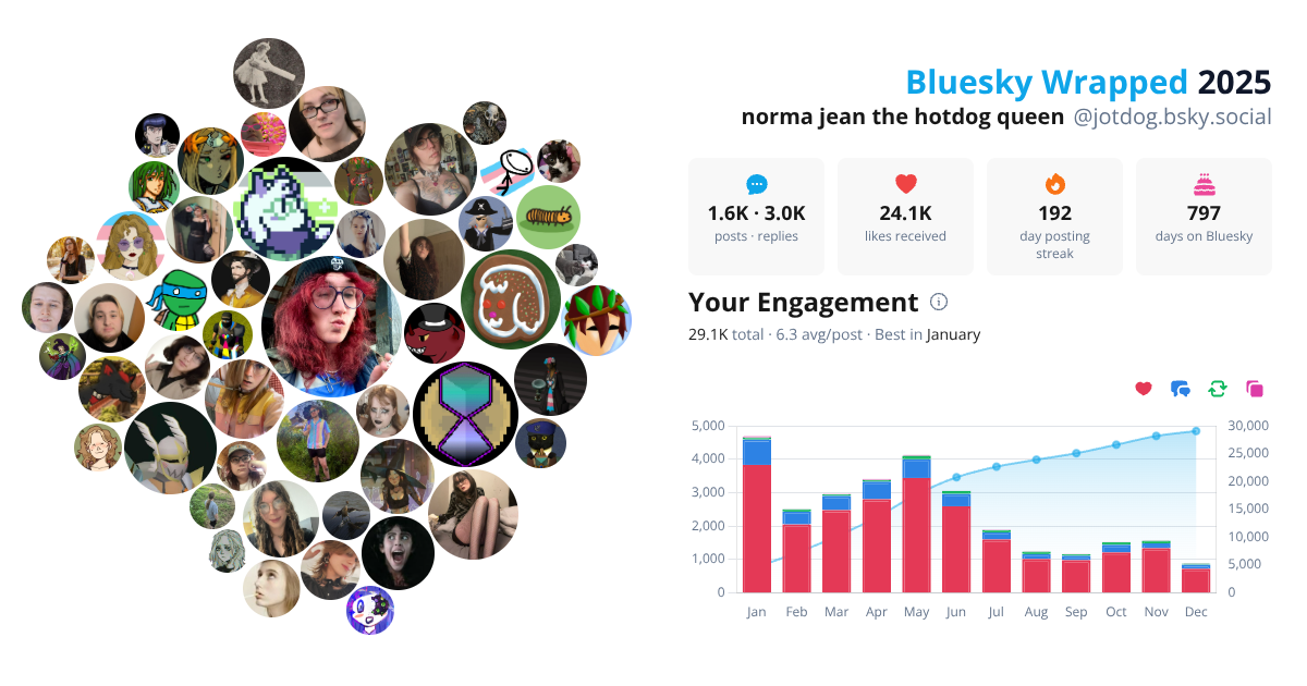 Your Bluesky Wrapped 2025 preview
