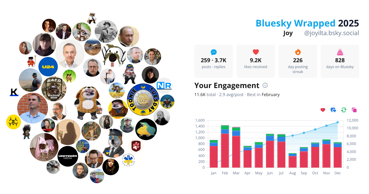 Your Bluesky Wrapped 2025 preview