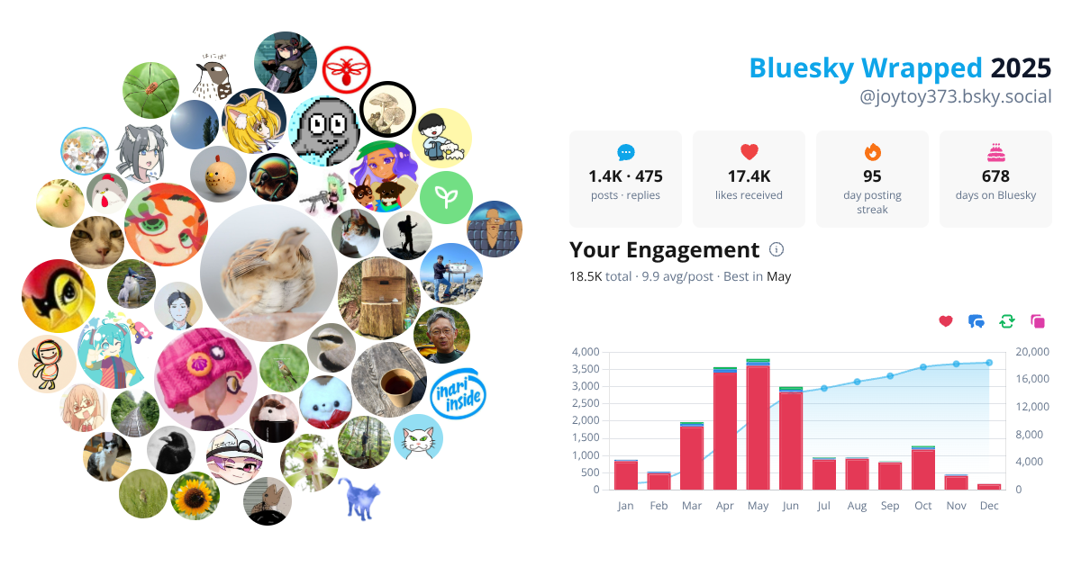 Your Bluesky Wrapped 2025 preview