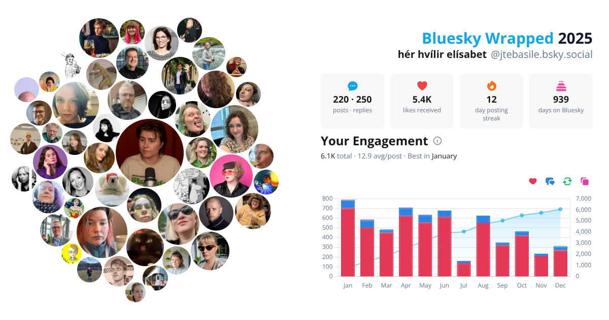 Your Bluesky Wrapped 2025 preview