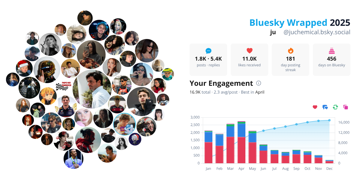 Your Bluesky Wrapped 2025 preview