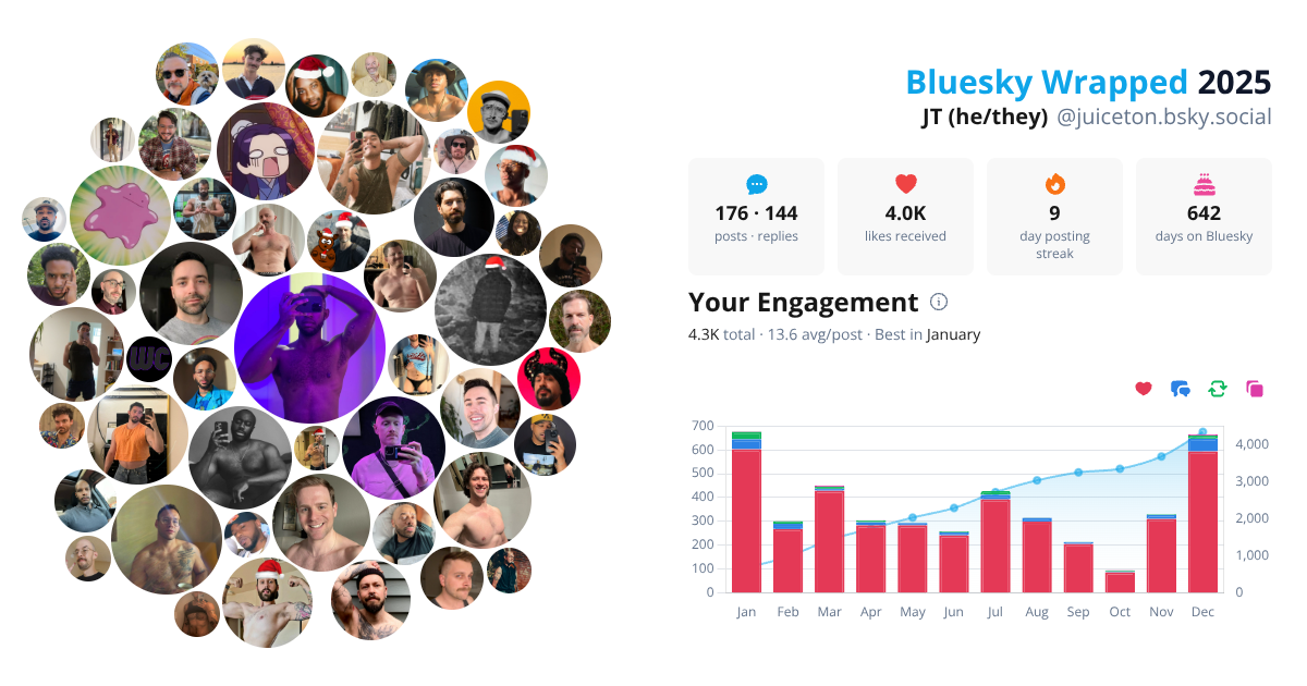 Your Bluesky Wrapped 2025 preview