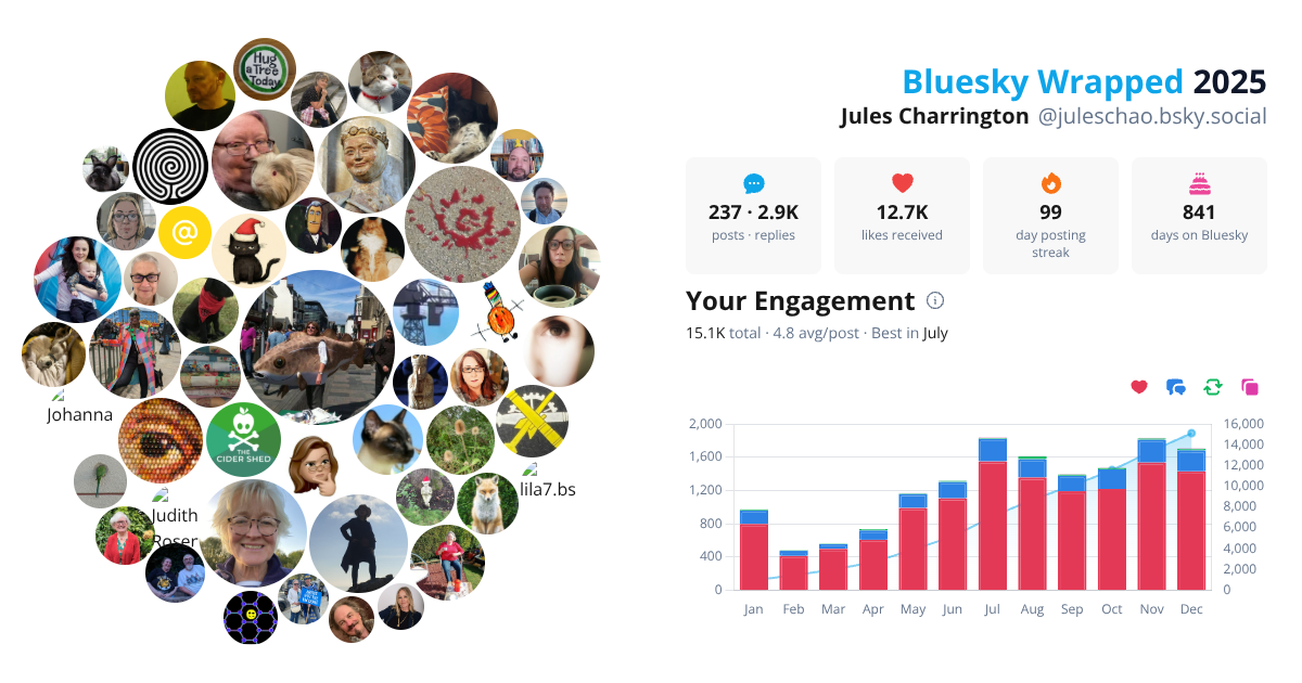 Your Bluesky Wrapped 2025 preview
