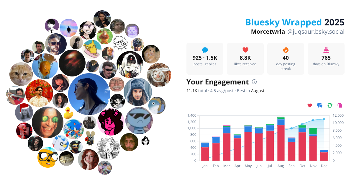 Your Bluesky Wrapped 2025 preview