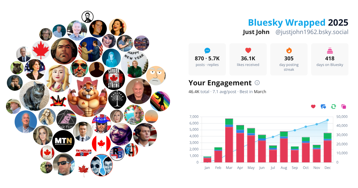 Your Bluesky Wrapped 2025 preview