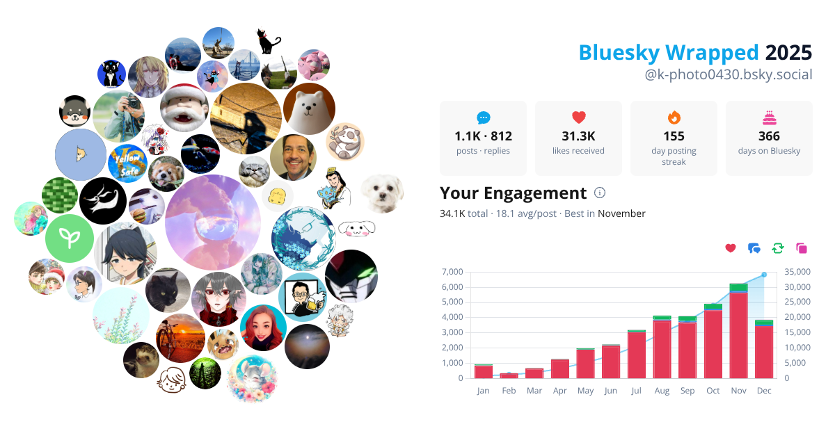 Your Bluesky Wrapped 2025 preview