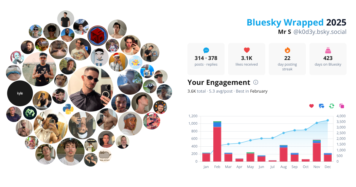 Your Bluesky Wrapped 2025 preview