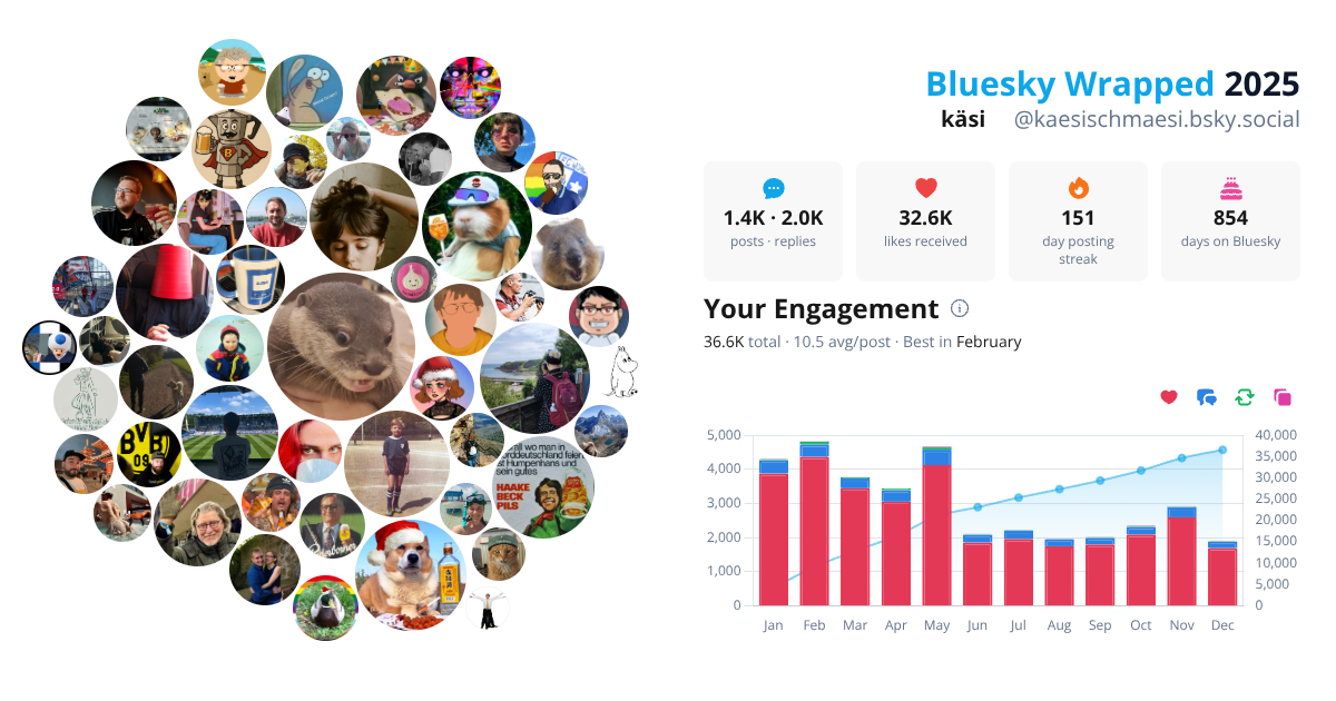 Your Bluesky Wrapped 2025 preview