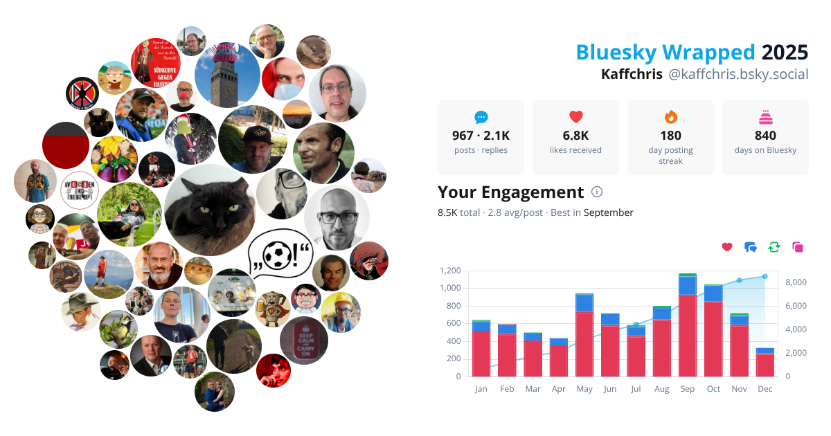 Your Bluesky Wrapped 2025 preview