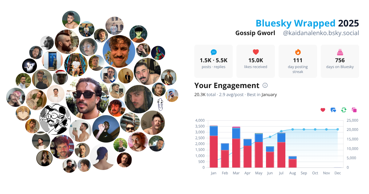 Your Bluesky Wrapped 2025 preview
