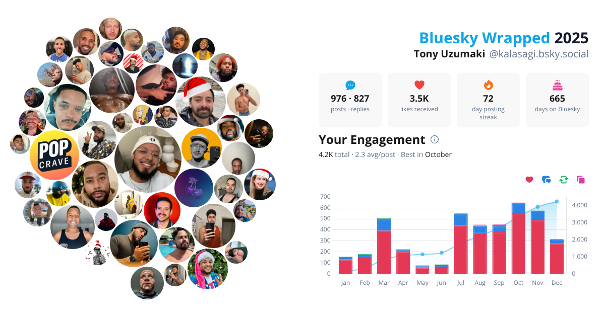 Your Bluesky Wrapped 2025 preview