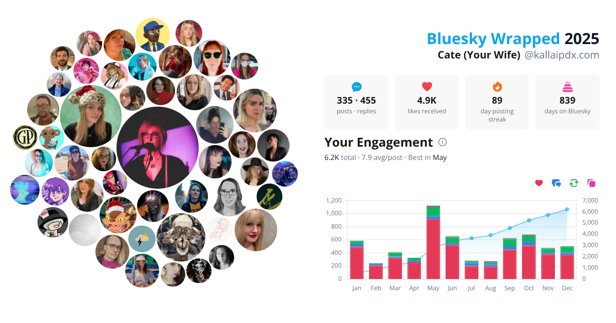 Your Bluesky Wrapped 2025 preview