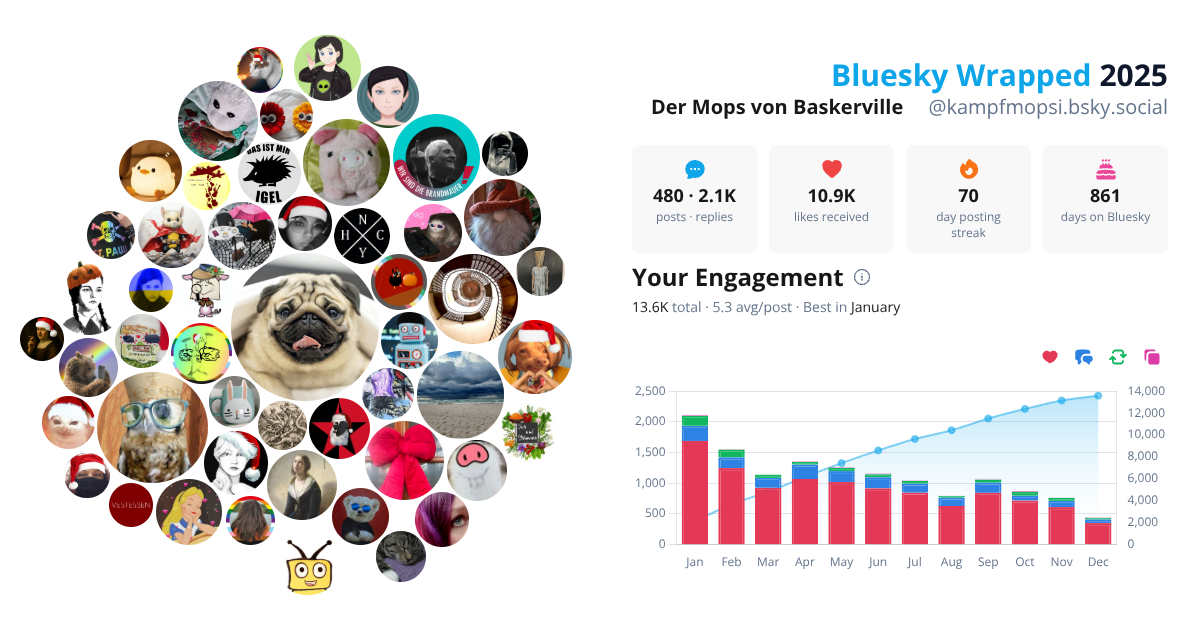 Your Bluesky Wrapped 2025 preview