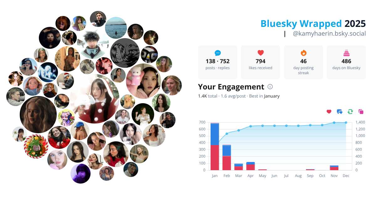 Your Bluesky Wrapped 2025 preview