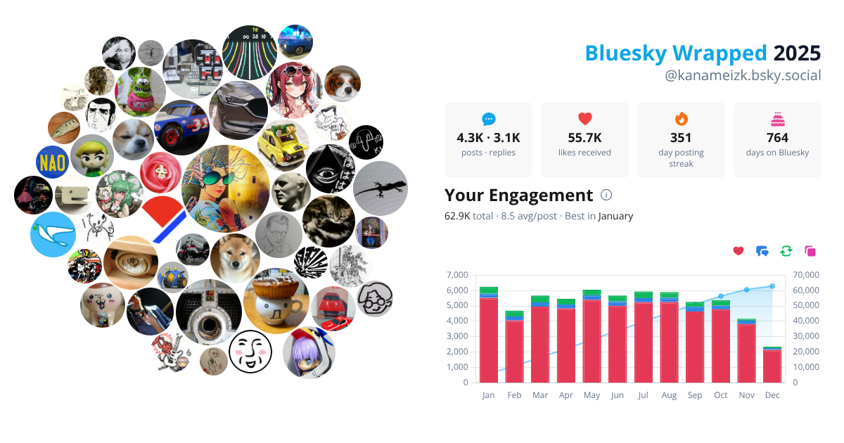 Your Bluesky Wrapped 2025 preview