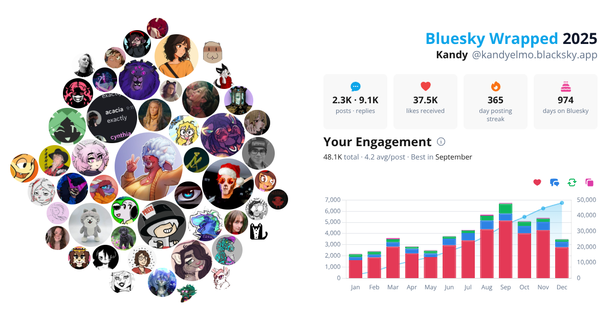Your Bluesky Wrapped 2025 preview