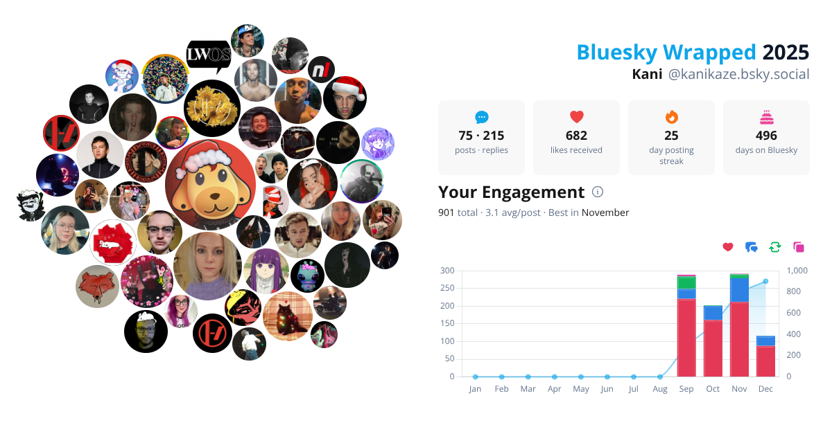 Your Bluesky Wrapped 2025 preview