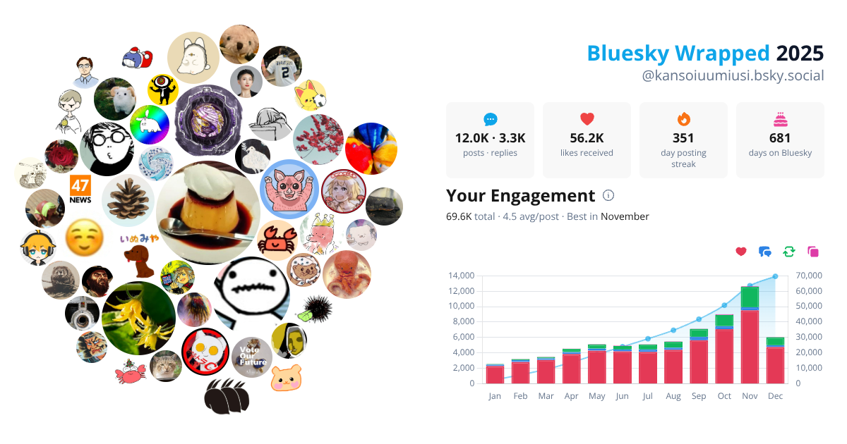 Your Bluesky Wrapped 2025 preview