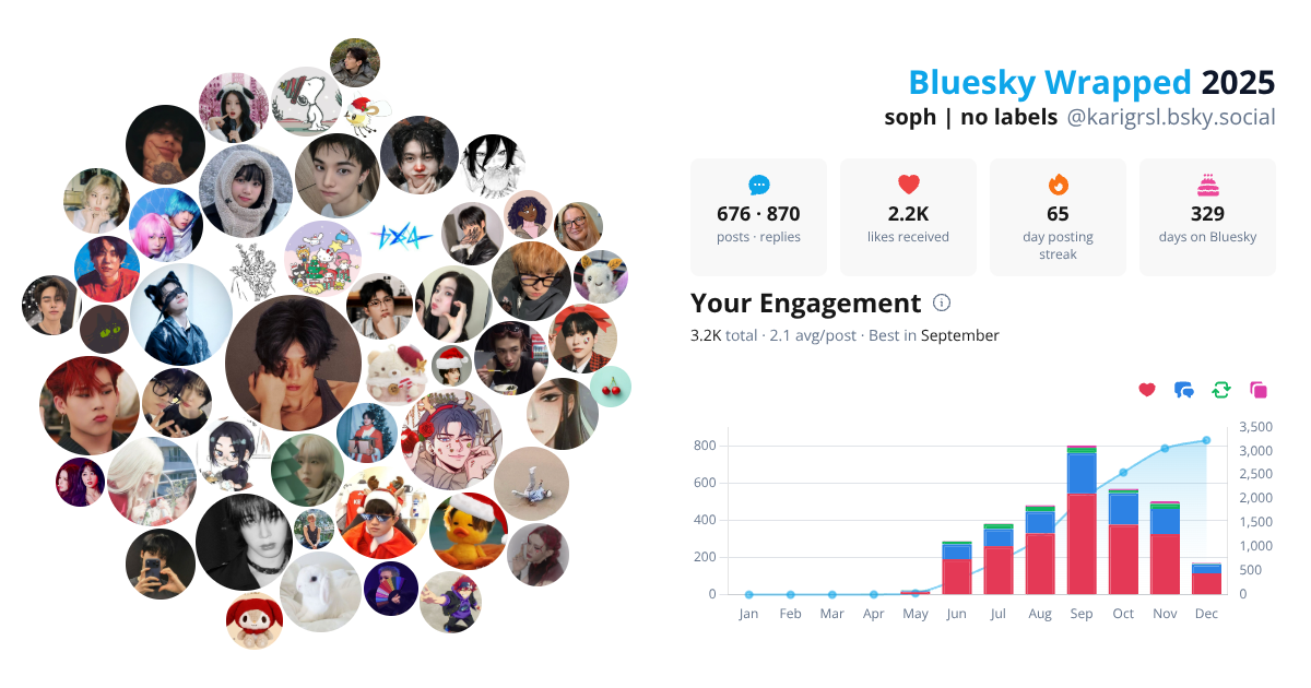 Your Bluesky Wrapped 2025 preview