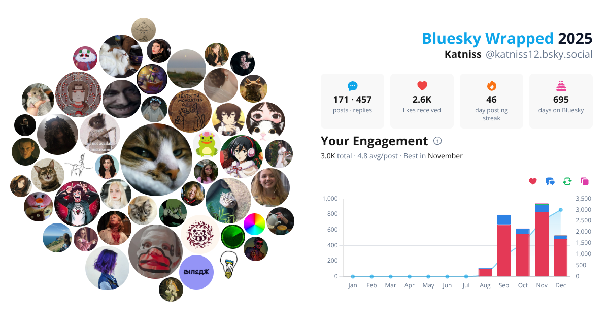Your Bluesky Wrapped 2025 preview