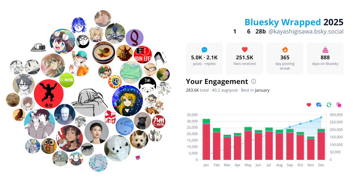 Your Bluesky Wrapped 2025 preview