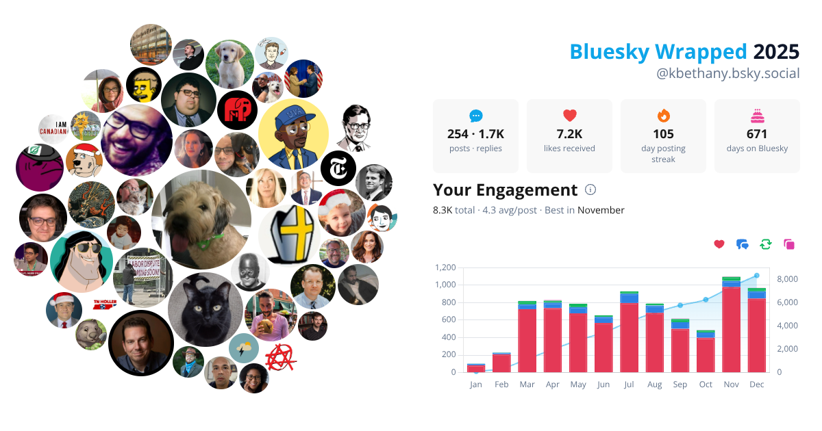 Your Bluesky Wrapped 2025 preview