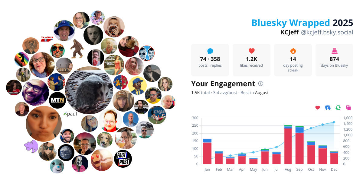 Your Bluesky Wrapped 2025 preview