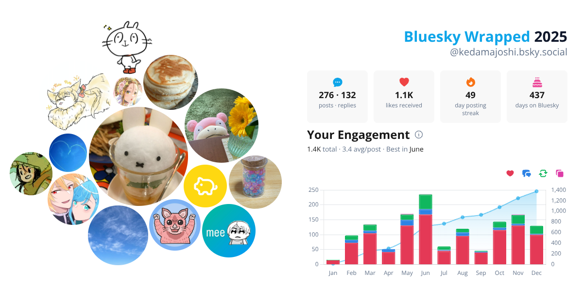 Your Bluesky Wrapped 2025 preview