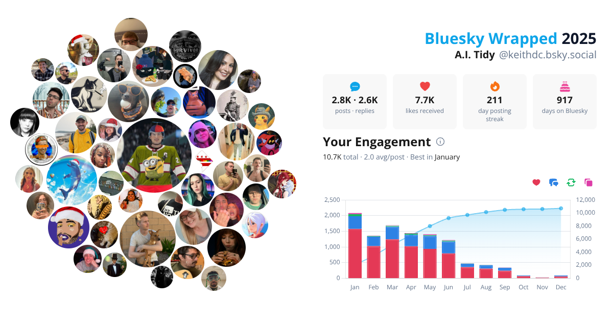 Your Bluesky Wrapped 2025 preview