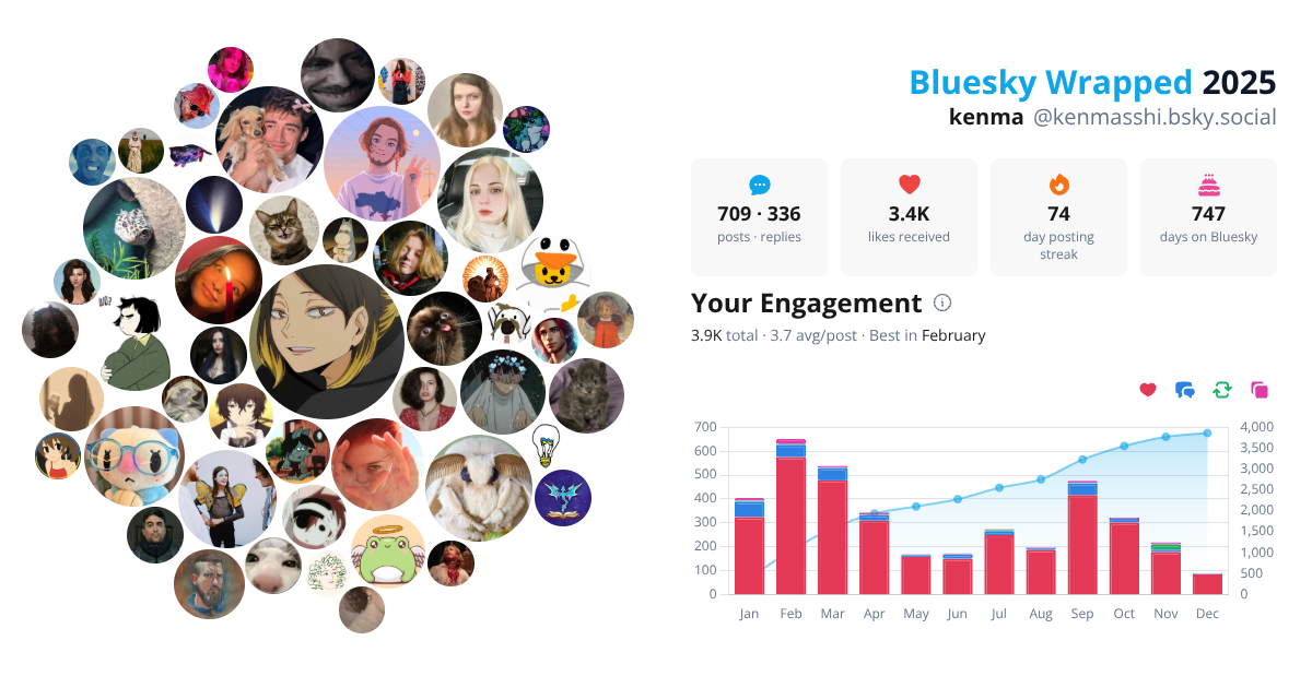 Your Bluesky Wrapped 2025 preview