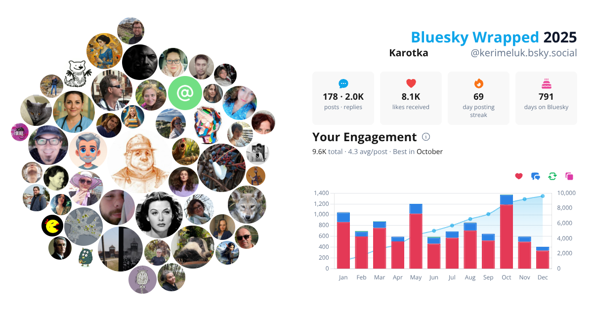 Your Bluesky Wrapped 2025 preview