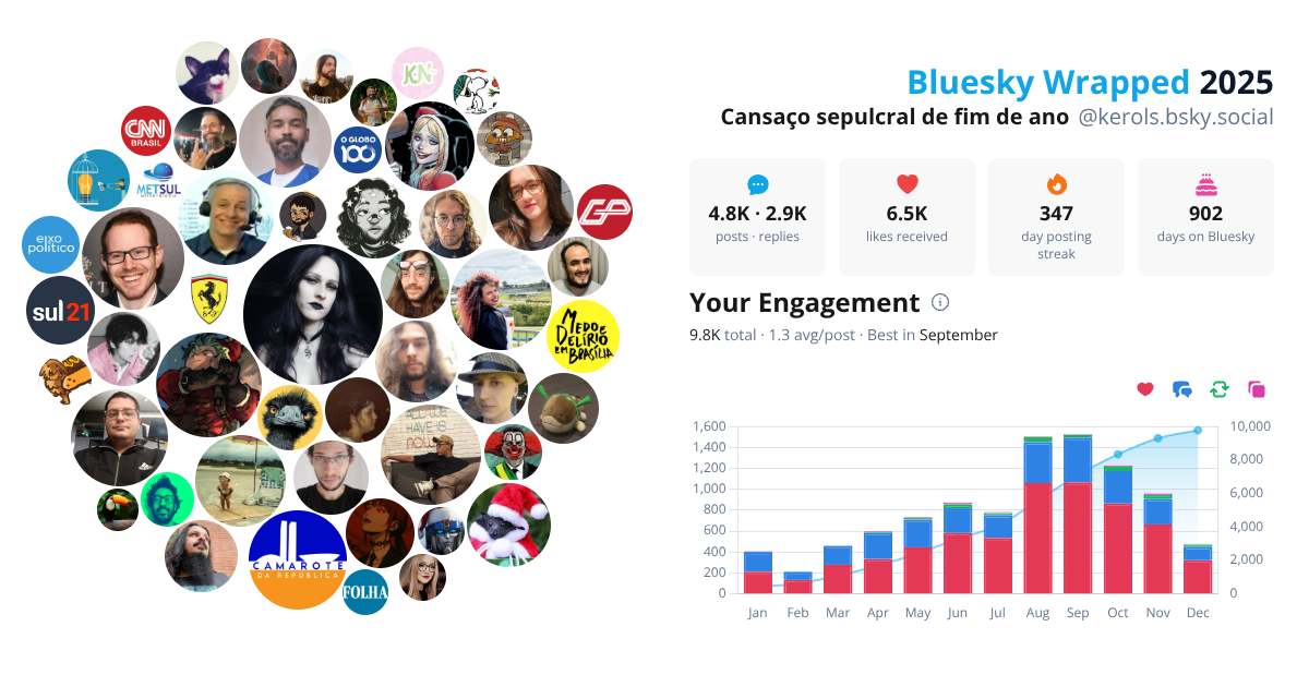 Your Bluesky Wrapped 2025 preview