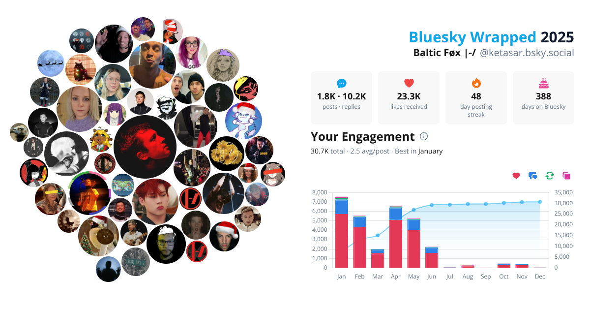 Your Bluesky Wrapped 2025 preview