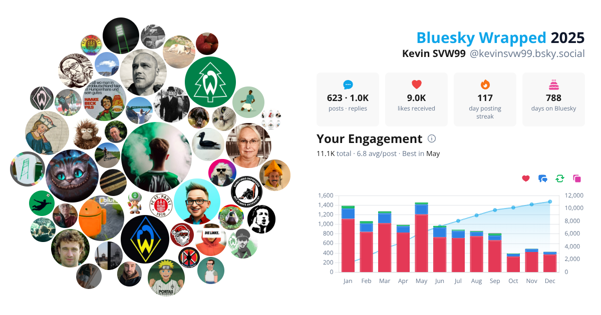 Your Bluesky Wrapped 2025 preview