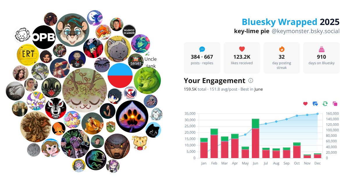 Your Bluesky Wrapped 2025 preview