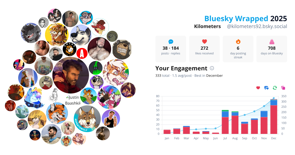 Your Bluesky Wrapped 2025 preview