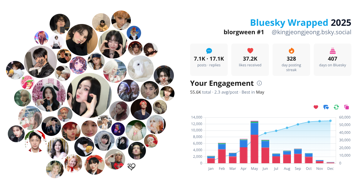 Your Bluesky Wrapped 2025 preview