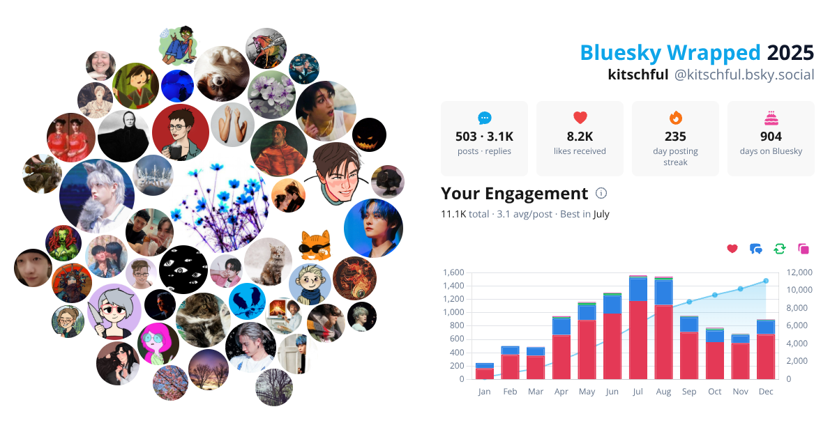 Your Bluesky Wrapped 2025 preview