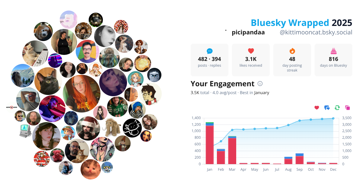 Your Bluesky Wrapped 2025 preview