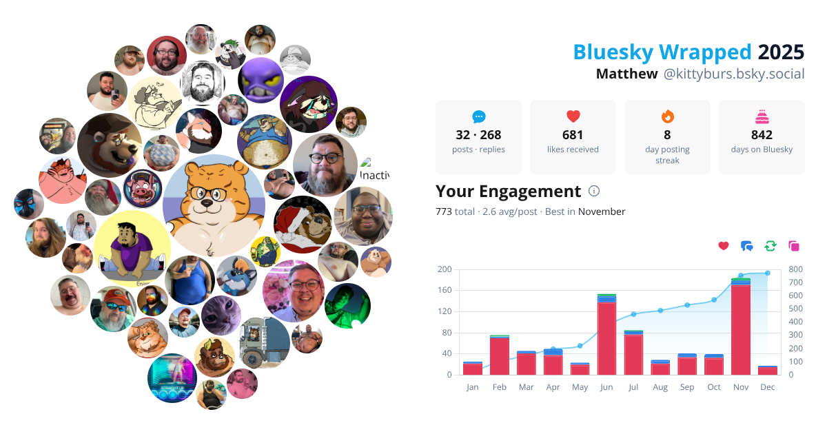 Your Bluesky Wrapped 2025 preview