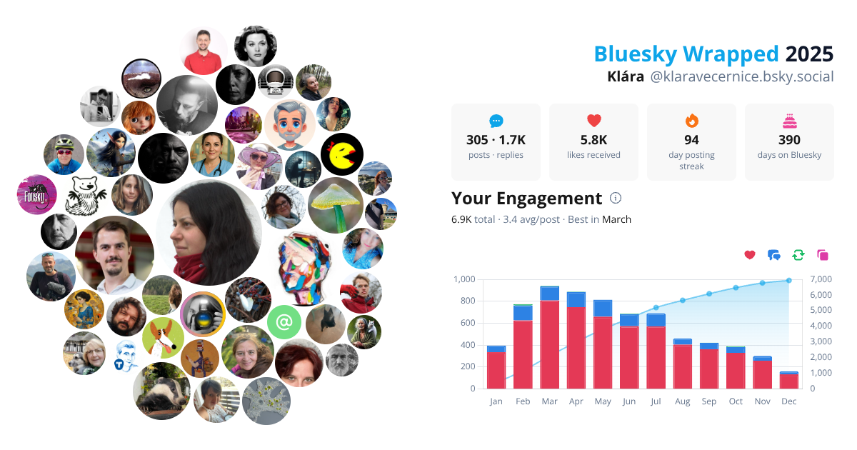 Your Bluesky Wrapped 2025 preview