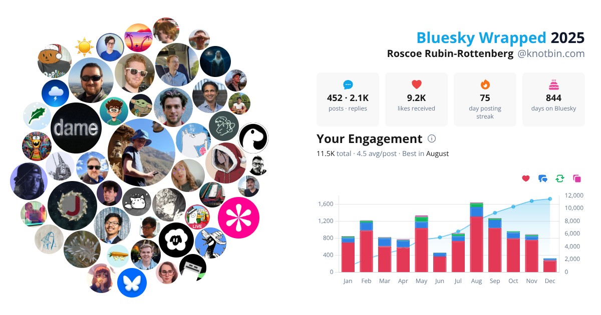 Your Bluesky Wrapped 2025 preview