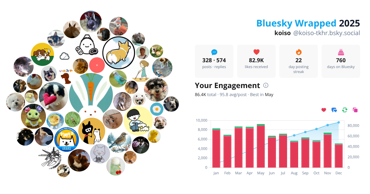 Your Bluesky Wrapped 2025 preview