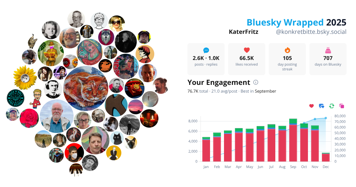 Your Bluesky Wrapped 2025 preview