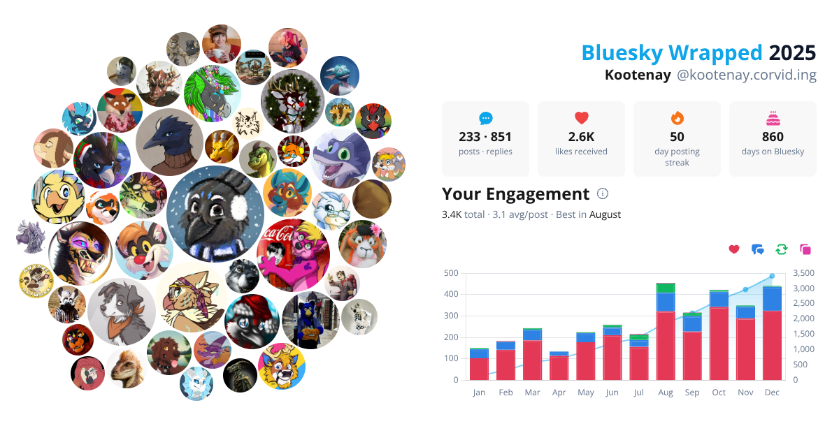 Your Bluesky Wrapped 2025 preview
