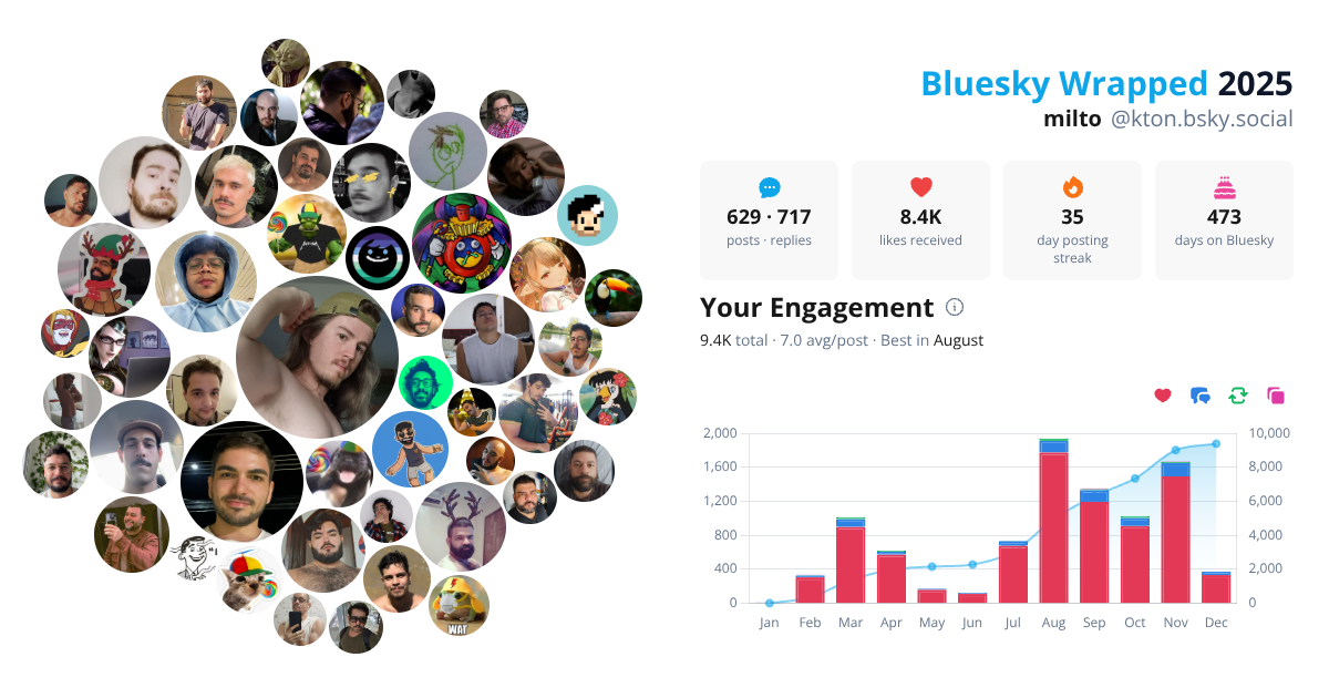 Your Bluesky Wrapped 2025 preview
