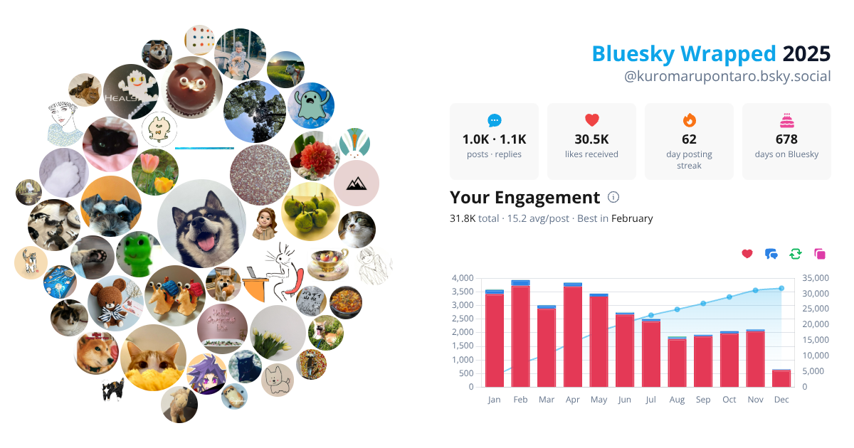 Your Bluesky Wrapped 2025 preview