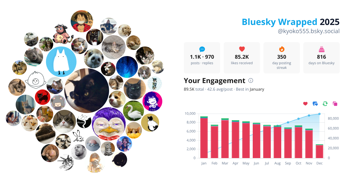 Your Bluesky Wrapped 2025 preview